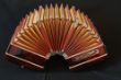 Arno Arnold rood Tis Marang Bandoneon 4.JPG